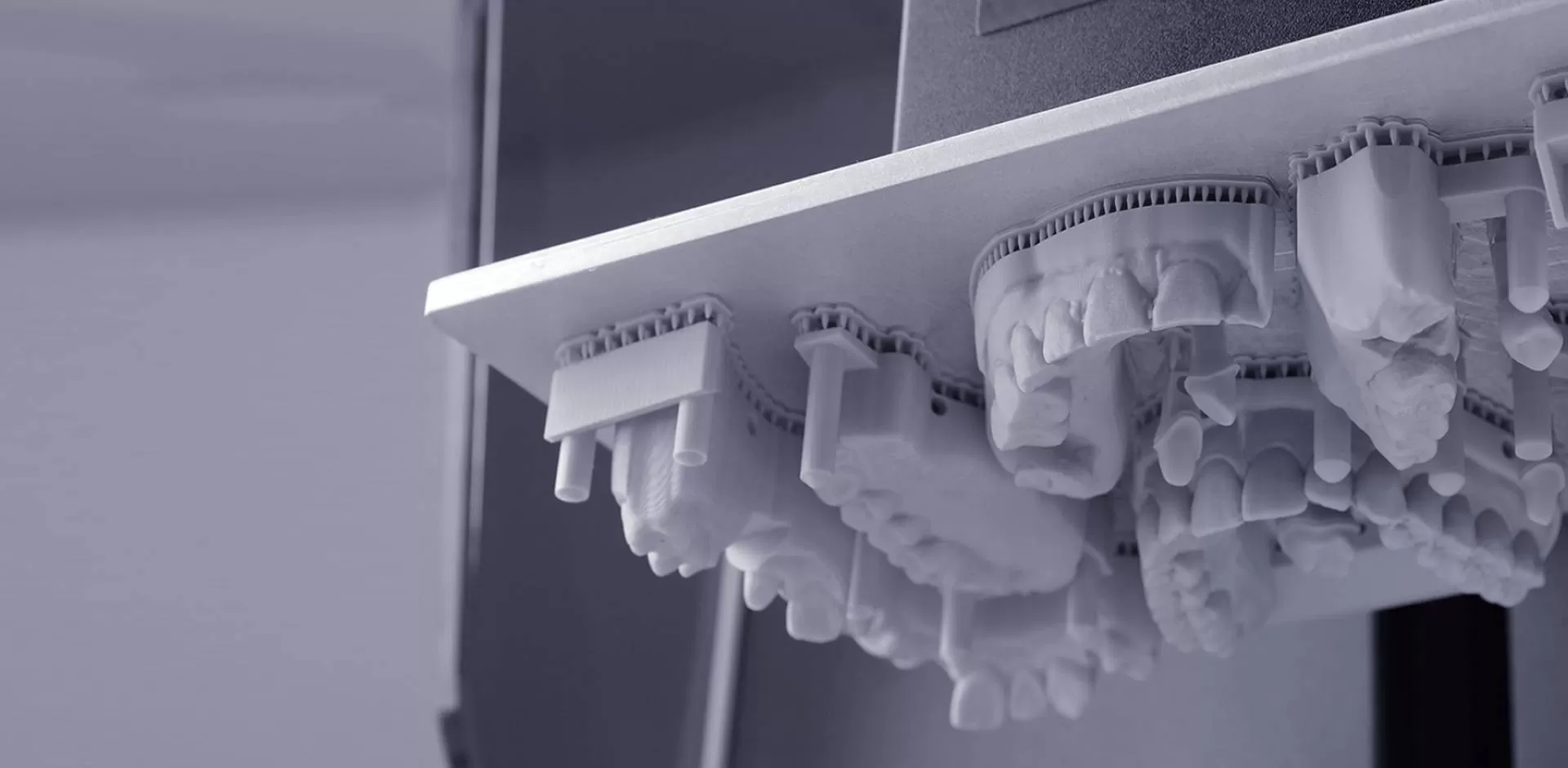 دليل المنتج