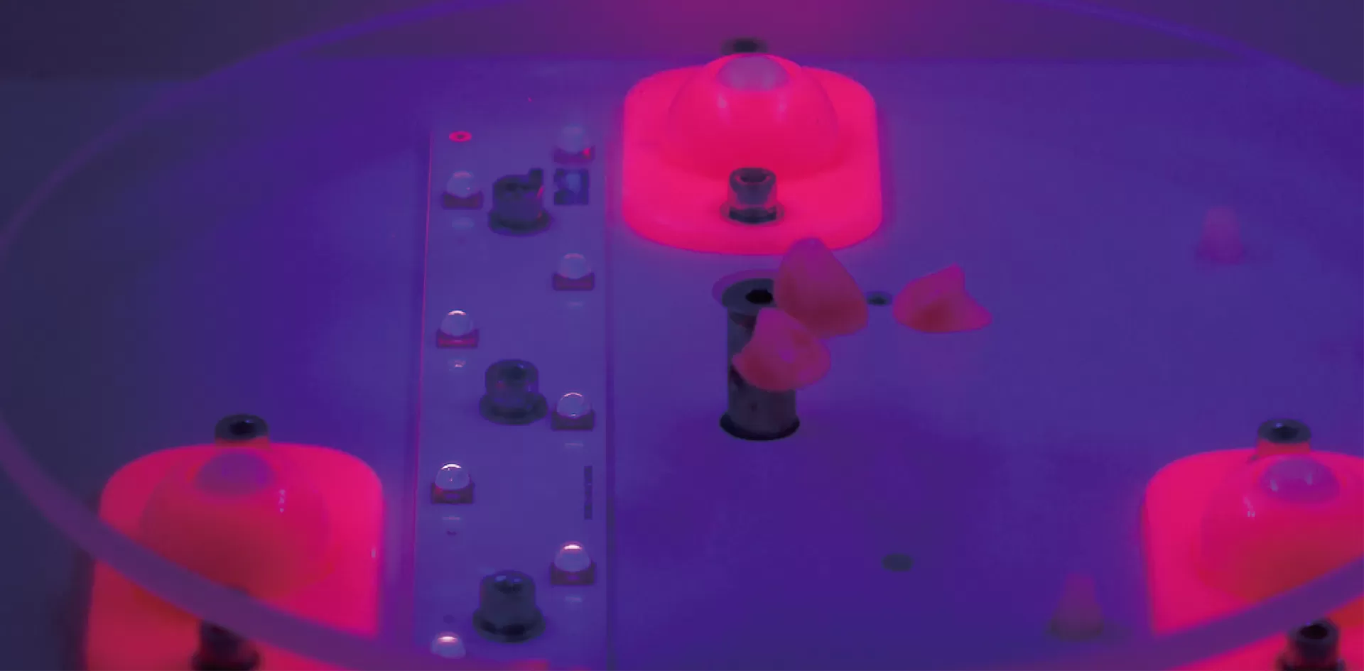 ارفع مطبوعتك ثلاثية الأبعاد مع حلول ما بعد المعالجة الاحترافية RAYSHAPE