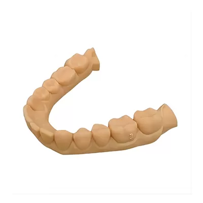 نموذج XE الراتنج