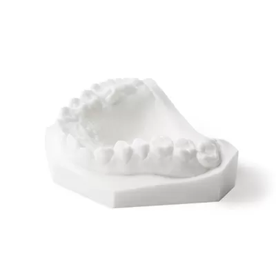 راتنج لنموذج التسجيل