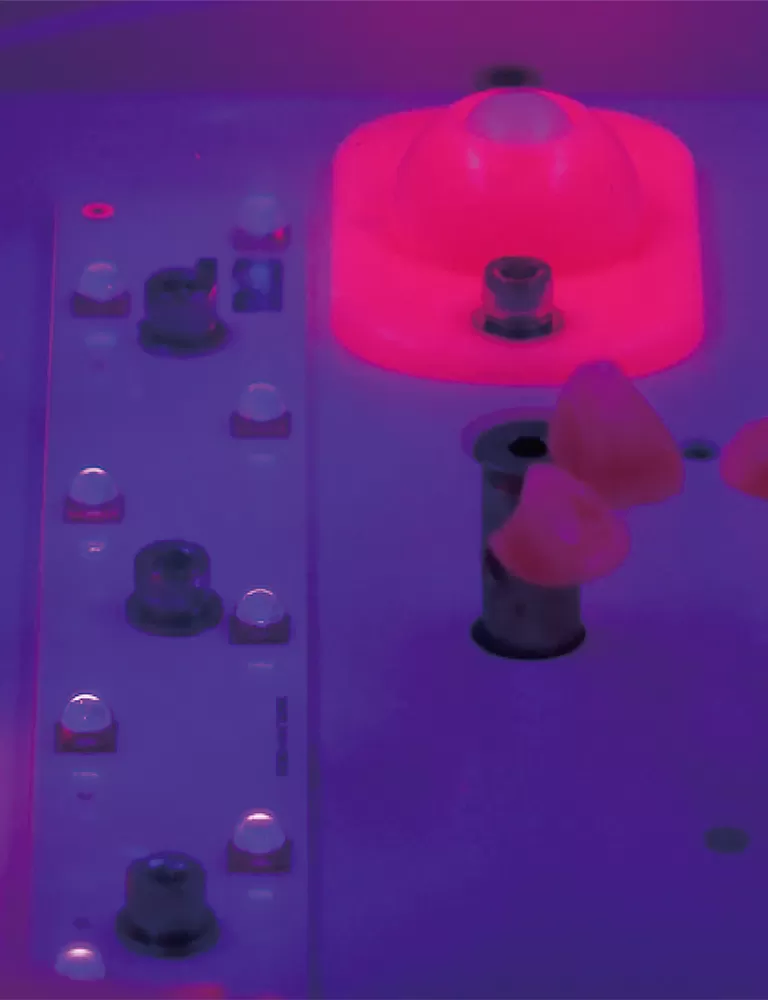 ارفع مطبوعتك ثلاثية الأبعاد مع حلول ما بعد المعالجة الاحترافية RAYSHAPE