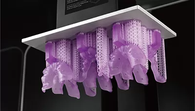 صينية راتنج أرجواني