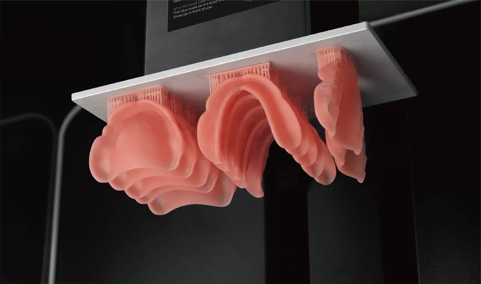 راتنج DT وردي