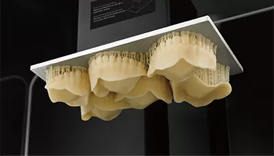 جرب في راتنج A2