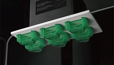 راتنج الزهر