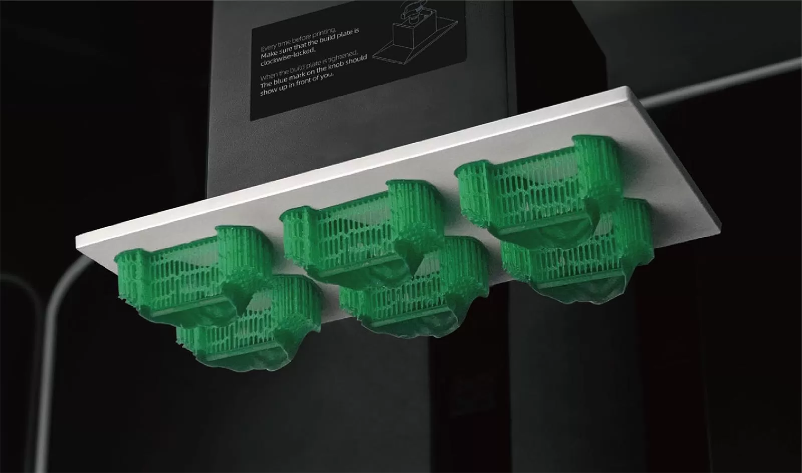 راتنج الزهر