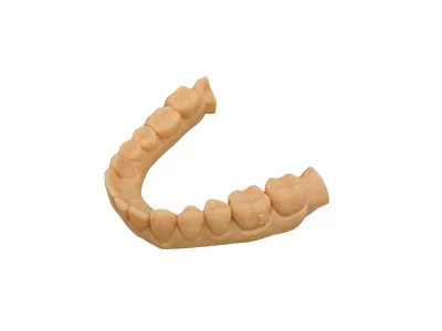 نموذج XE الراتنج