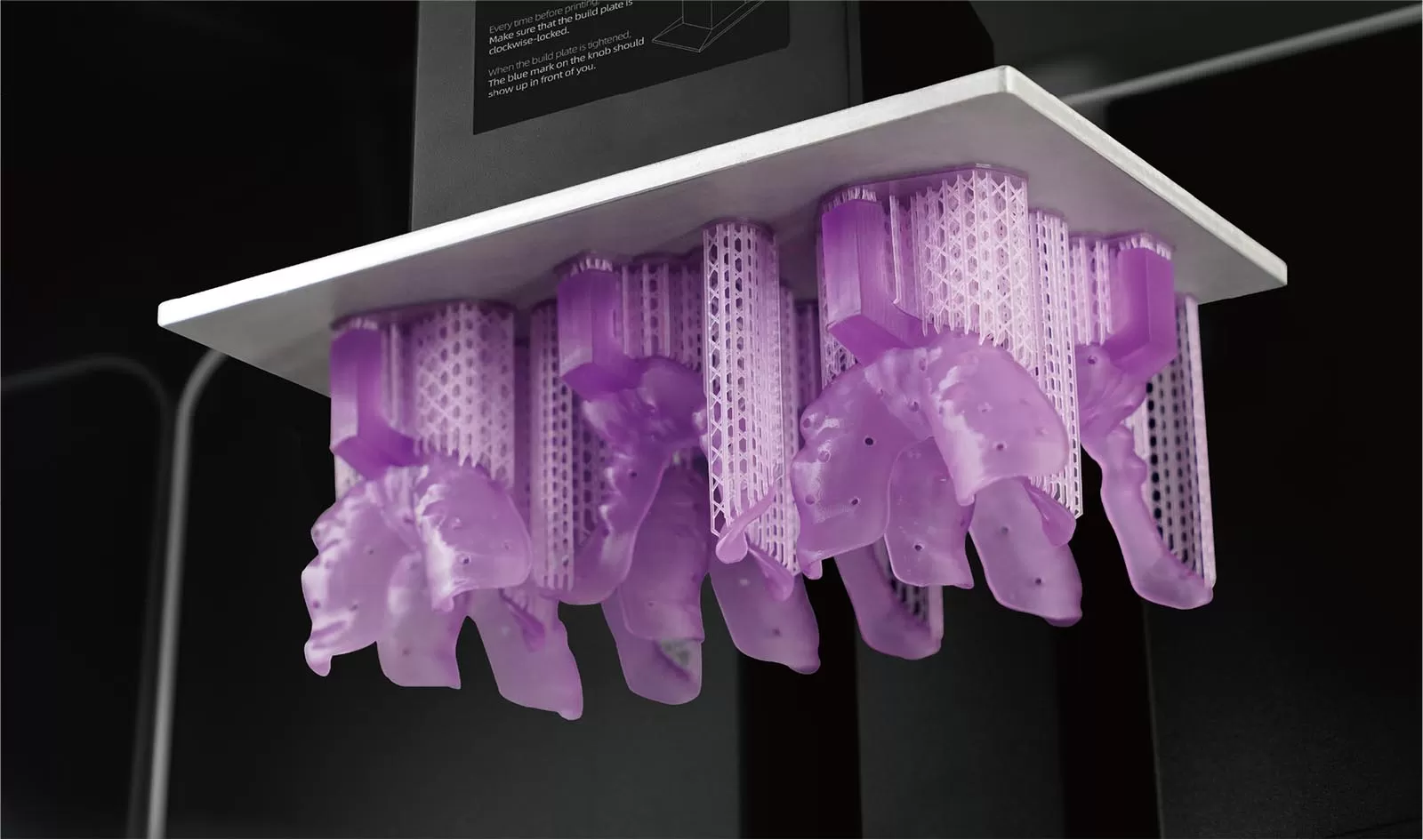 صينية راتنج أرجواني